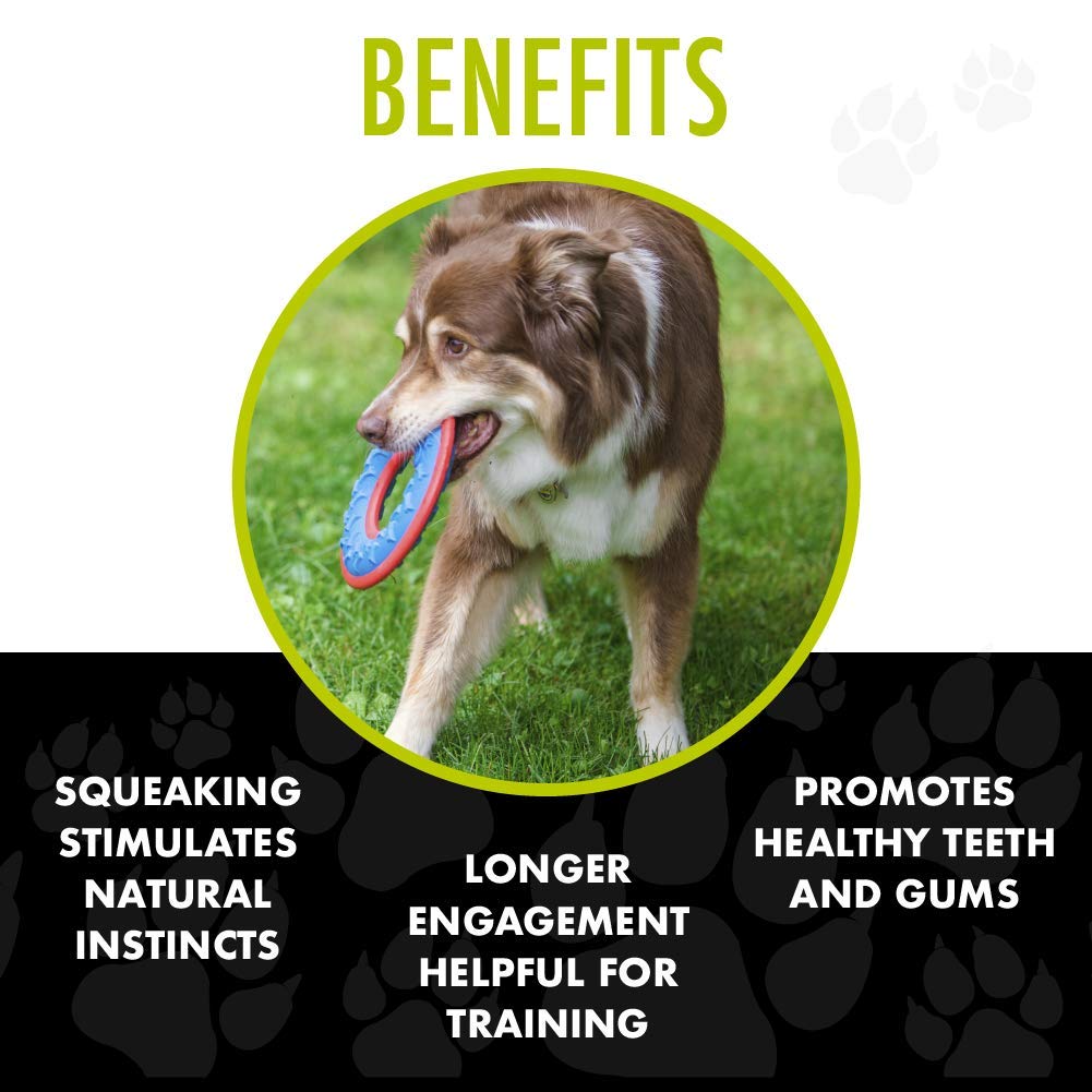 Hero Fetch Ring Dog Toy - Blue, Floats & Squeaks, Durable Outdoor Play for Dogs