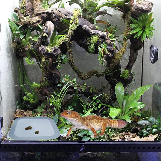 2 Pcs Leopard Gecko Potty Pad,Crested Gecko Potty Latrine,Leopard Gecko Tray,Reptile Litter Box,Portable Gecko Tank Accessories