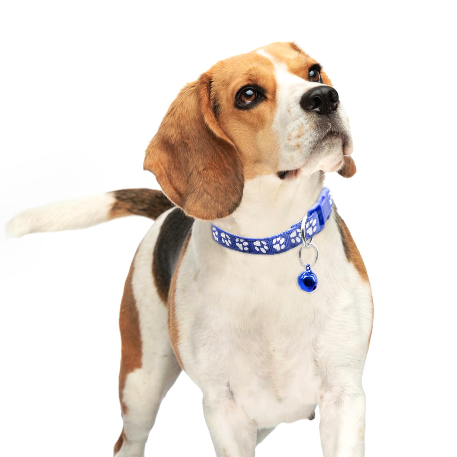 Quacc 6Pcs Puppy Collars, Puppy Whelping Collars Colourful Adjustable Dog Collar 19-32Cm Paw Print Collar With Bell For Small Do