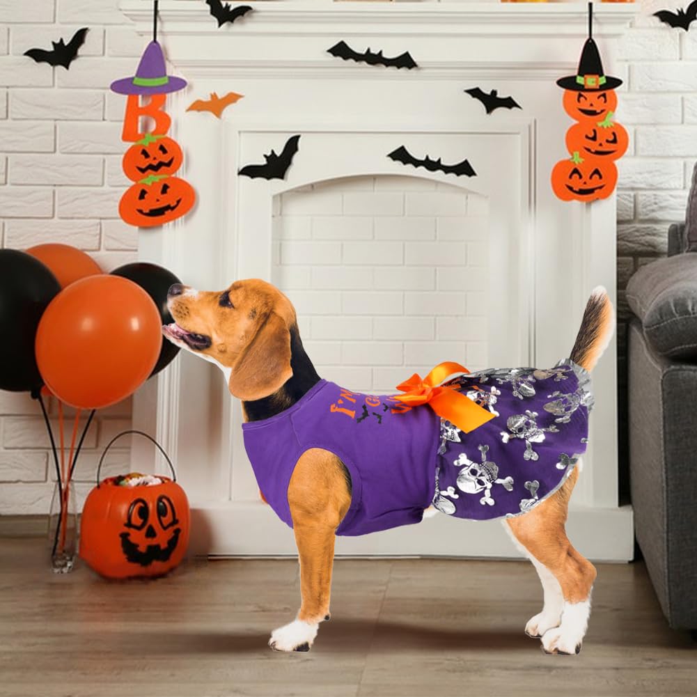 Dog Halloween Costumes, Funny Puppy Dress With Bow For Small Large Dogs, Pumpkin Witch Bat Pet Costume For Christmas (Medium, Go