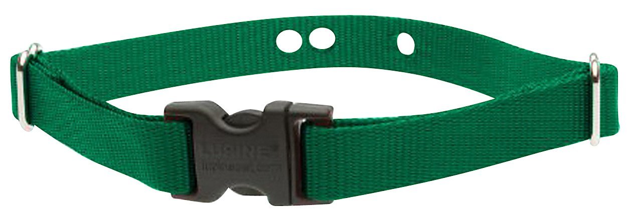 Lupinepet Basics 3/4' Green 12-17' Containment Collar Strap For Small To Medium Dogs