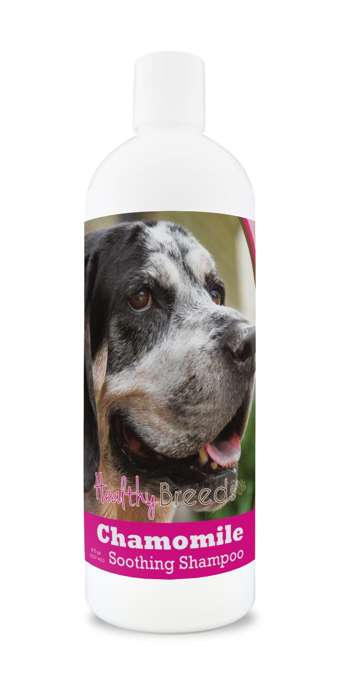 Healthy Breeds Bluetick Coonhound Chamomile Soothing Dog Shampoo 8 oz