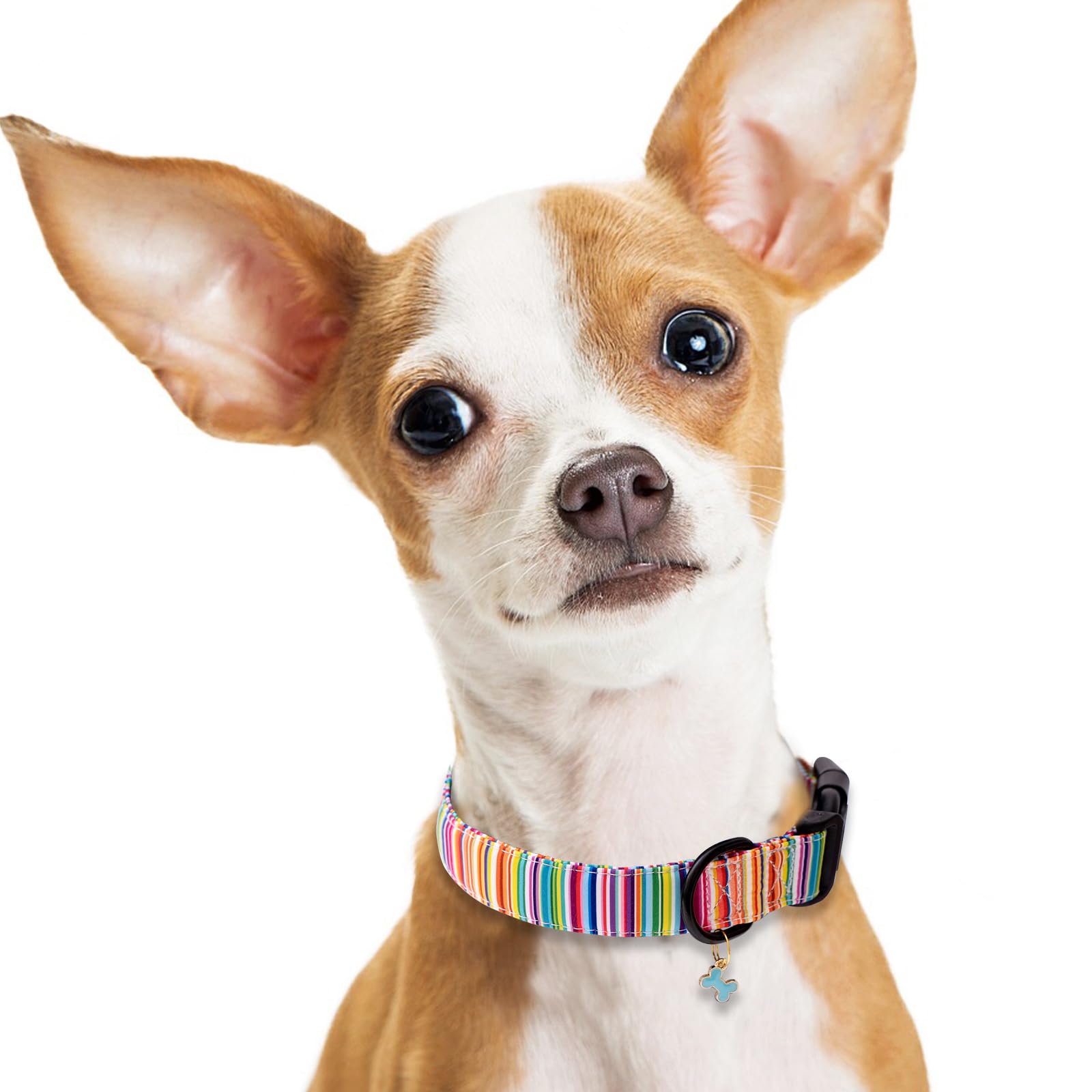Faygarsle Dog Collar For Small Medium Large Dogs Cute Colorful Puppy Collars For Female Dogs Pinstripe Patterned Pet Collars For