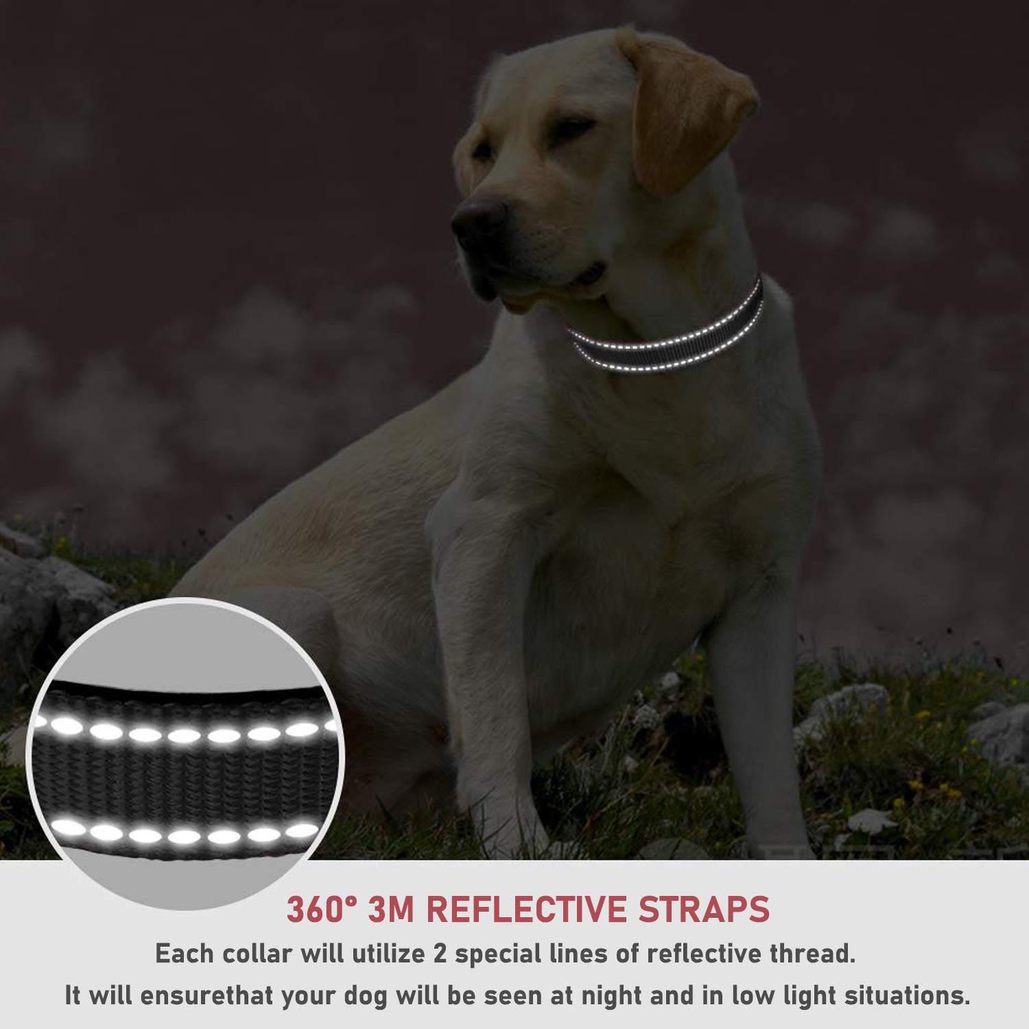 Reflective Dog Collar With Buckle Adjustable Safety Nylon Collars For Small Medium Large Dogs, Black Xs