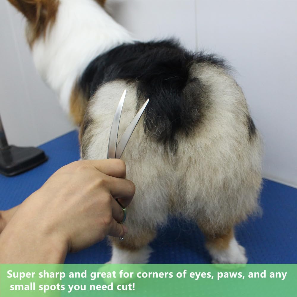 Hashimoto Curved Scissors For Dog Grooming, Dog Grooming Scissors Curved, Extremely Light Weight, 6.5 Inch, 30 Degree Of Curved