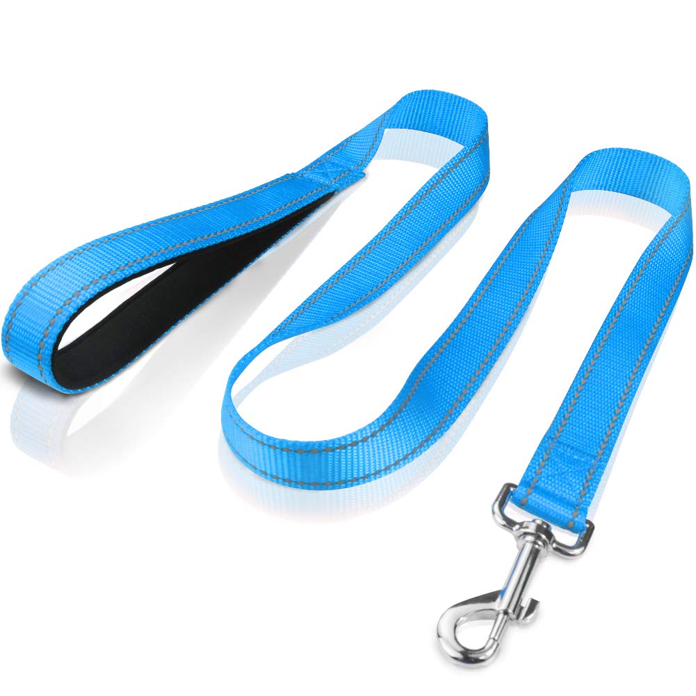 Funtags 4Ft Reflective Dog Leash With Soft Padded Handle For Training,Walking Lead For Large & Medium Dog,1 Inch Wide,Skyblue