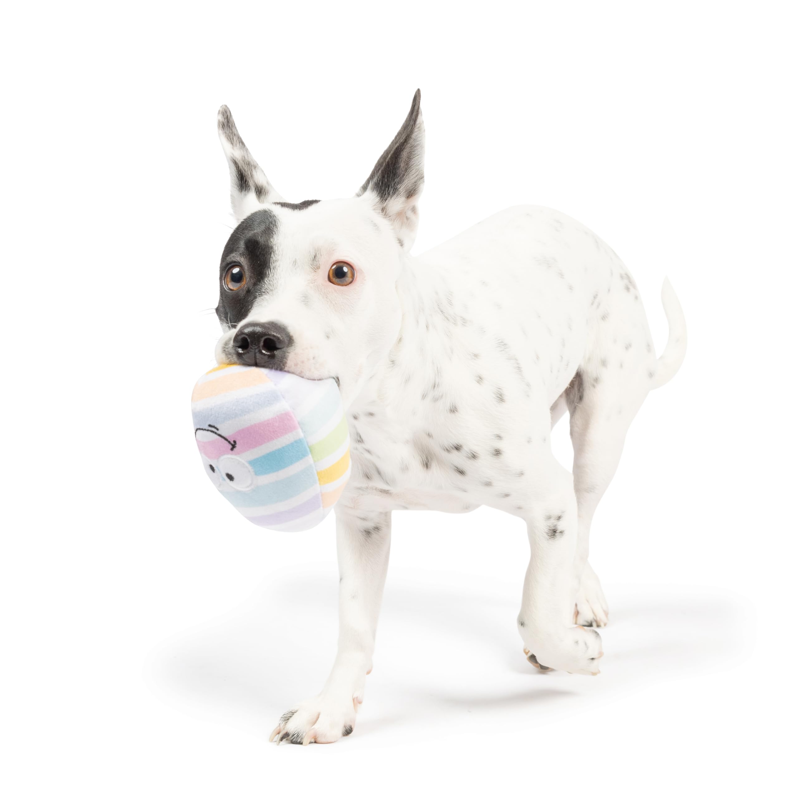 Huxley & Kent Tiny Tuff - Squeaky Eggs - Easter/Spring Extra Tough Dog Toy For Small Dogs - 2-Pack Funny Dog Toy - Features Sque