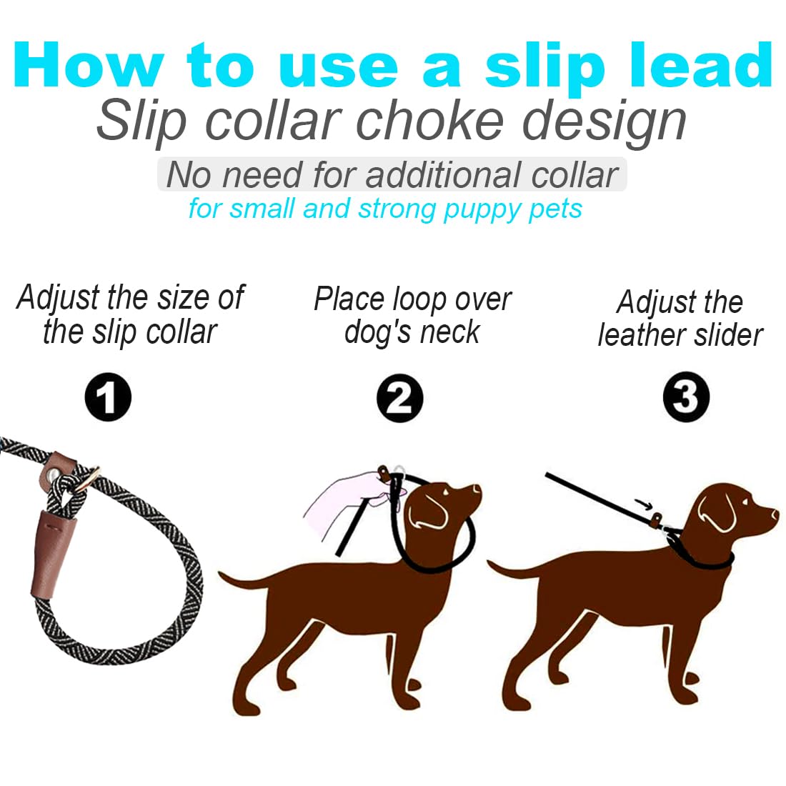 Mycicy Slip Lead Dog Leash, 1/4' X 5 Ft No Pull Control Training Leash For Small And Medium Dogs (Black)