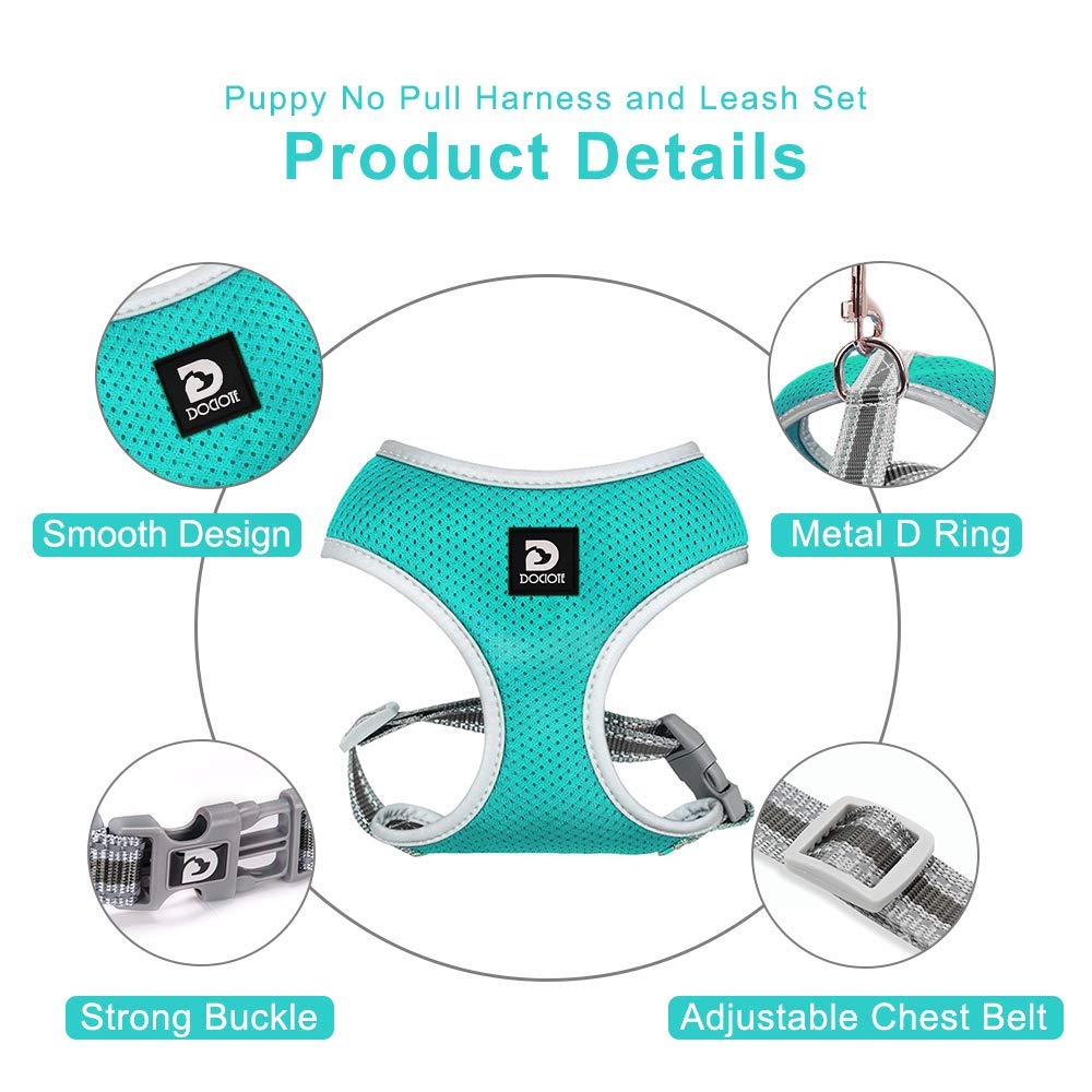 Puppy Harness And Leash Set - Dog Vest Harness For Small Dogs Medium Dogs- Adjustable Reflective Step In Harness For Dogs - Soft Mesh Comfort Fit No Pull No Choke (Xs, Lake Blue)