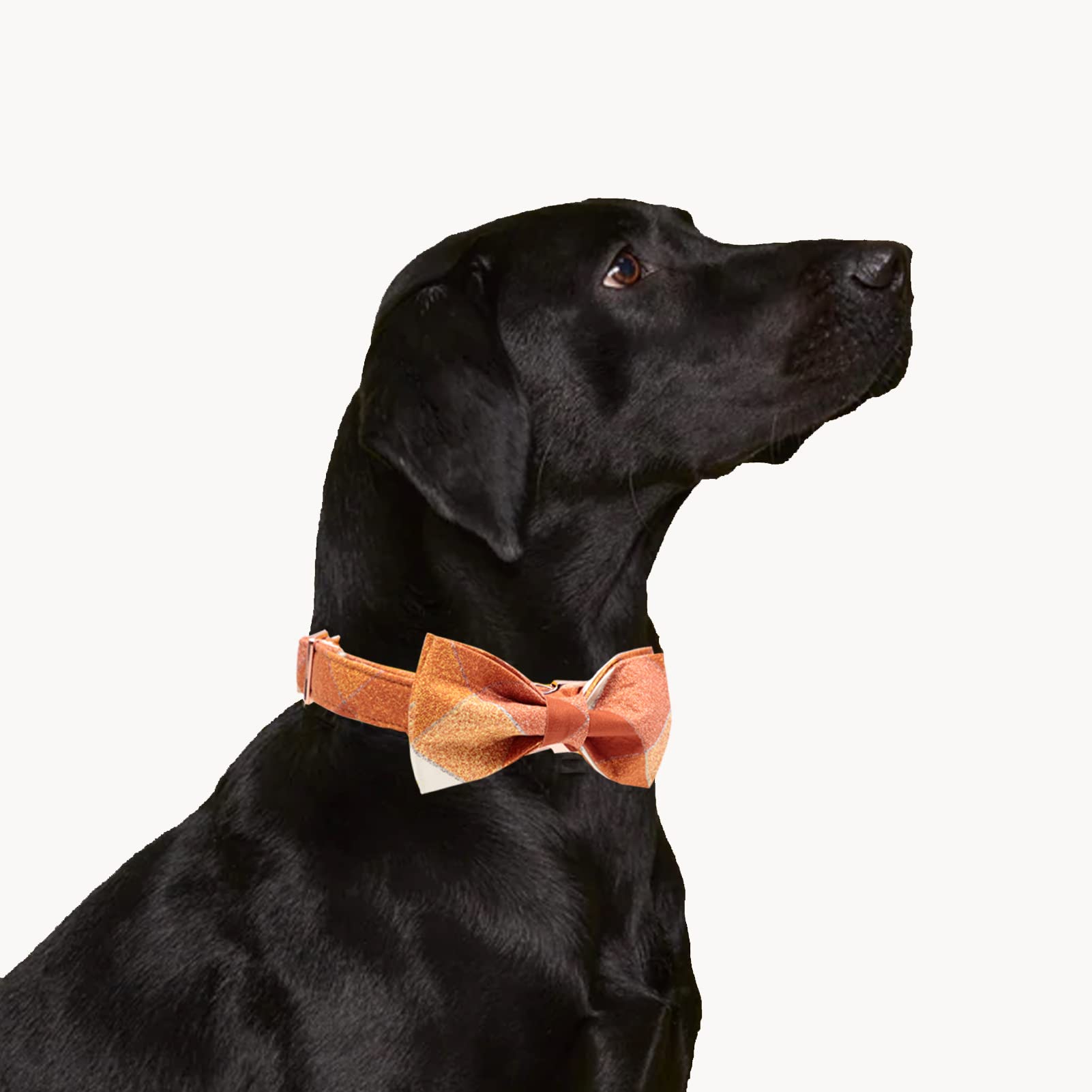 Mr. Chubbyface Fall Adjustable Dog Collar Bow Tie - Cute Plaid For Small, Medium, Large Dogs - Orange, Girl/Boy