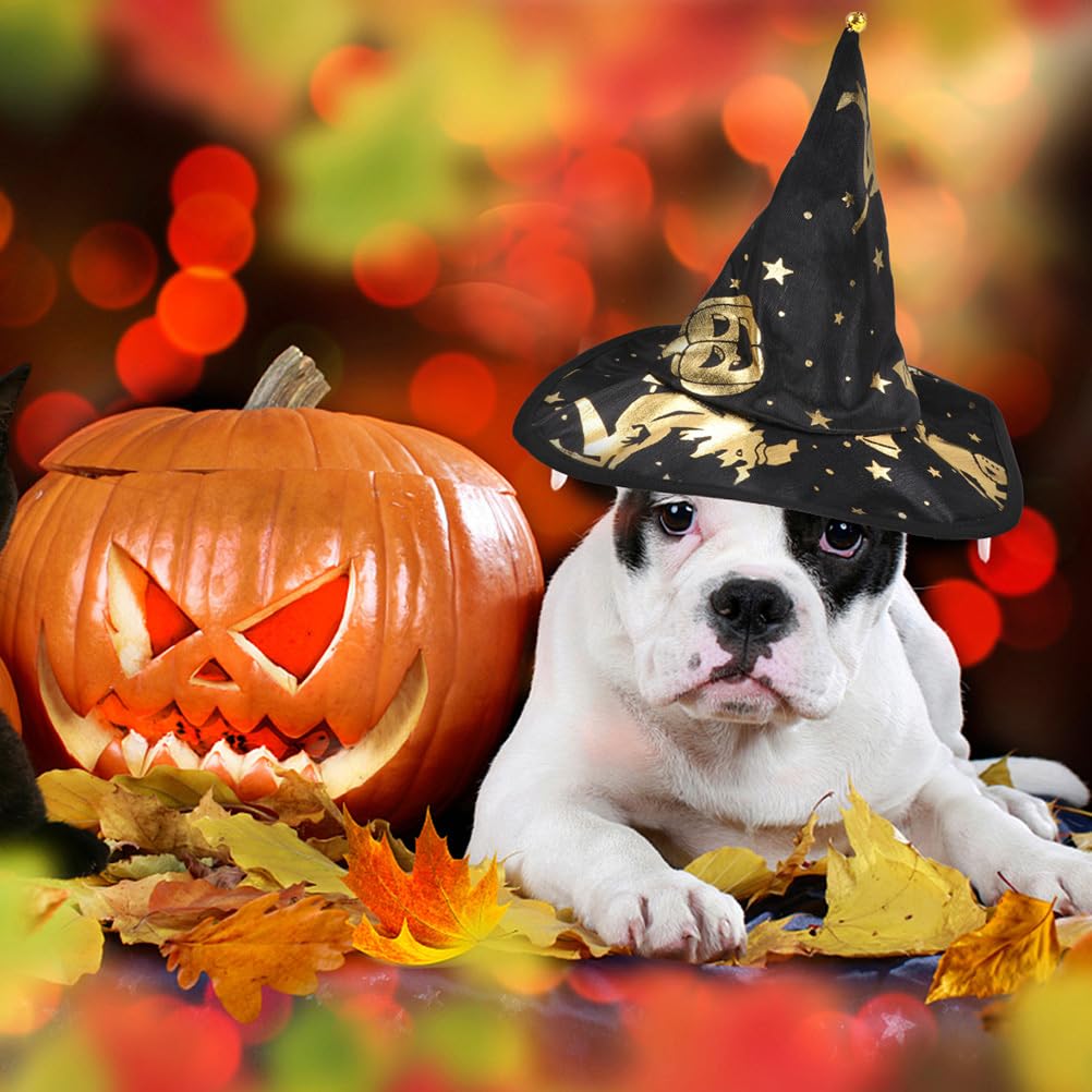 PRETYZOOM Halloween Costumes for Dogs Pet Costume Wizard Cape with Witch Hat Costume for Cats Halloween Outfits Pet Halloween Co