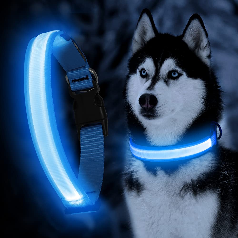 Yfbrite Ultra Light Usb Rechargeable Led Dog Collar - Adjustable Light Up Dog Collar - Waterproof Dog Collar - Flashing Dog Collar Visiblity & Safety For Your Dogs (Blue, Small)
