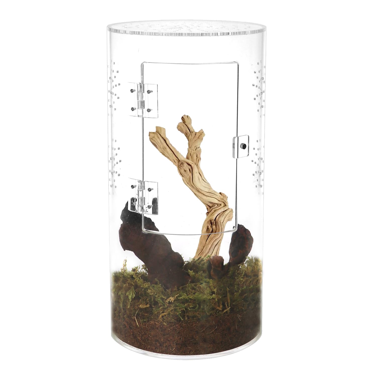 Naneezoo Acrylic Tarantula Enclosure Jumping Spider Enclosure With Front Opening Door Micro Habitat Terrarium For Small Tree Dwe