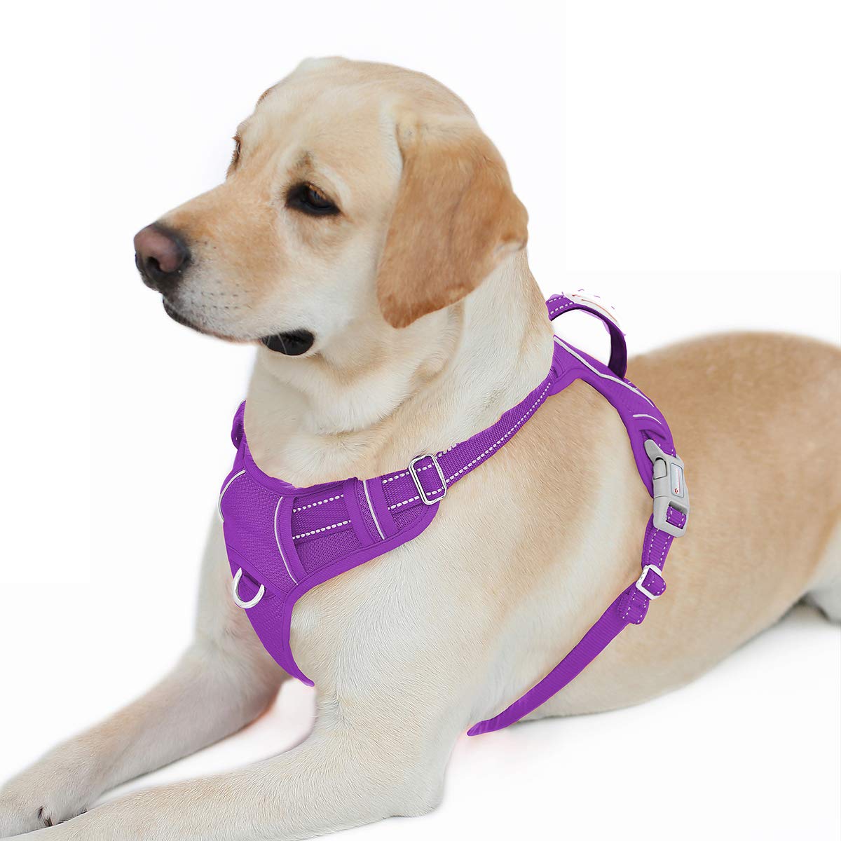 BARKBAY No Pull Dog Harness Front Clip Heavy Duty Reflective Easy Control Handle for Large Dog Walking with ID tag Pocket(Purple