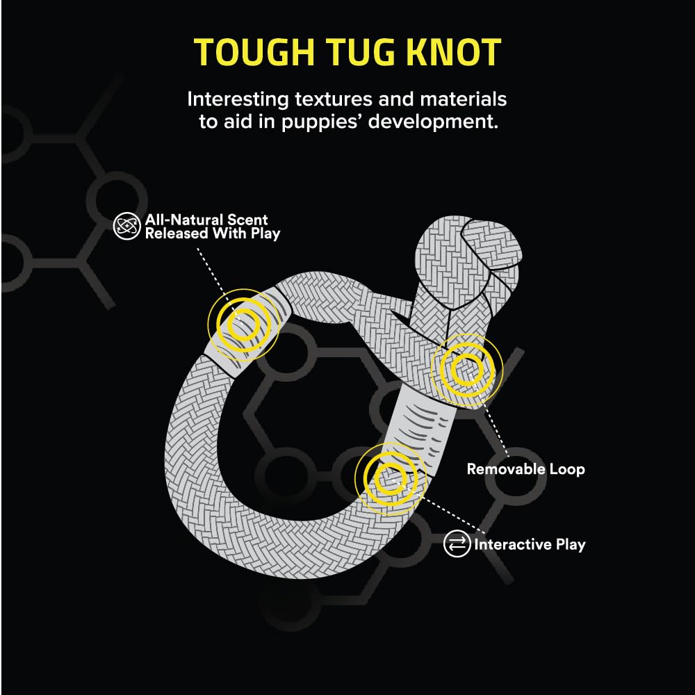 Playology Puppy Tough Knot Tug Toy For Young & Active Dogs | Engaging All-Natural Beef Scented Medium Sized Interactive Tug & Ch