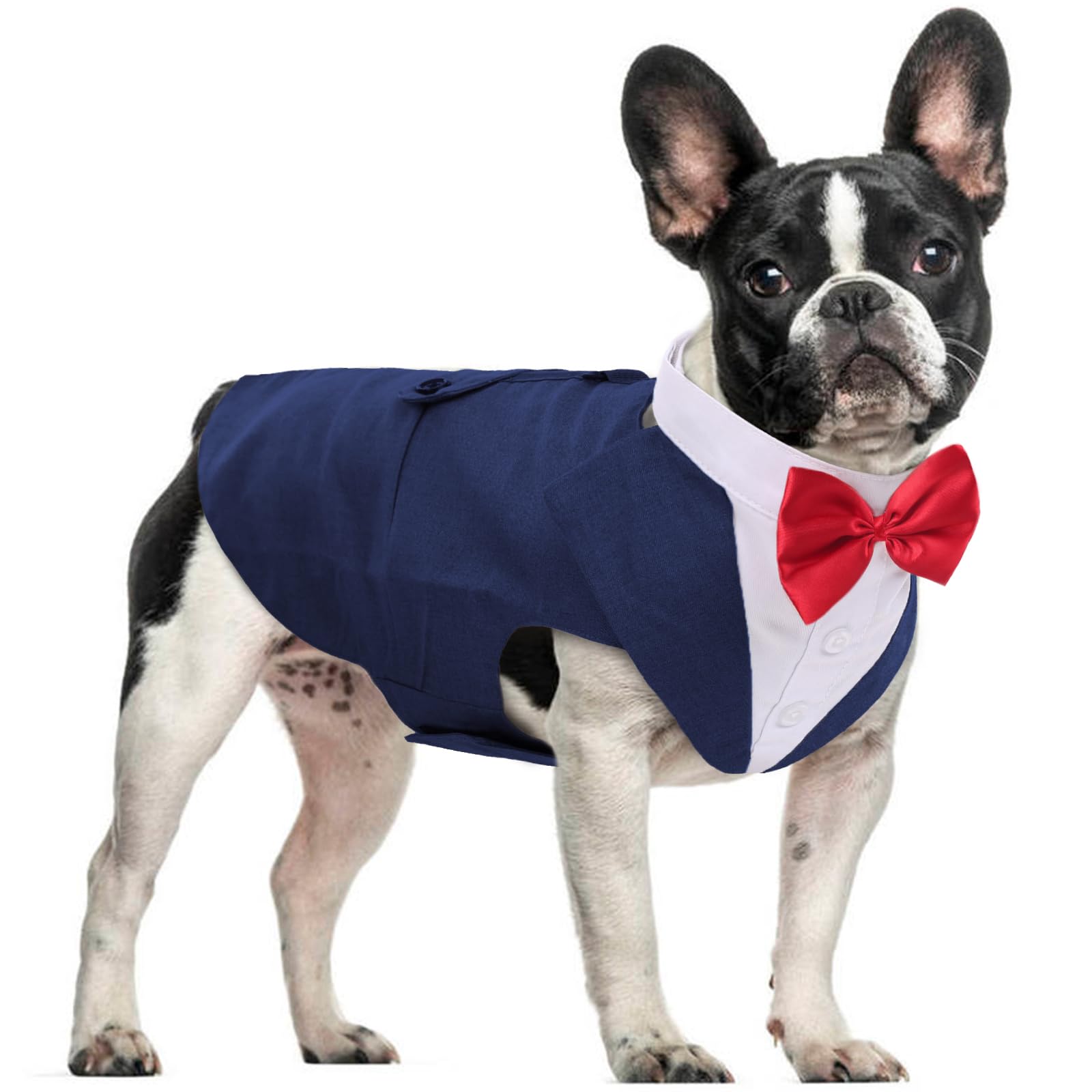 Dora Bridal Dog Tuxedo For Small Dogs,Dog Suit And Bowtie, Formal Dogs Wedding Outfit, Pet Tuxedo And Bandana Set Valentines Bir