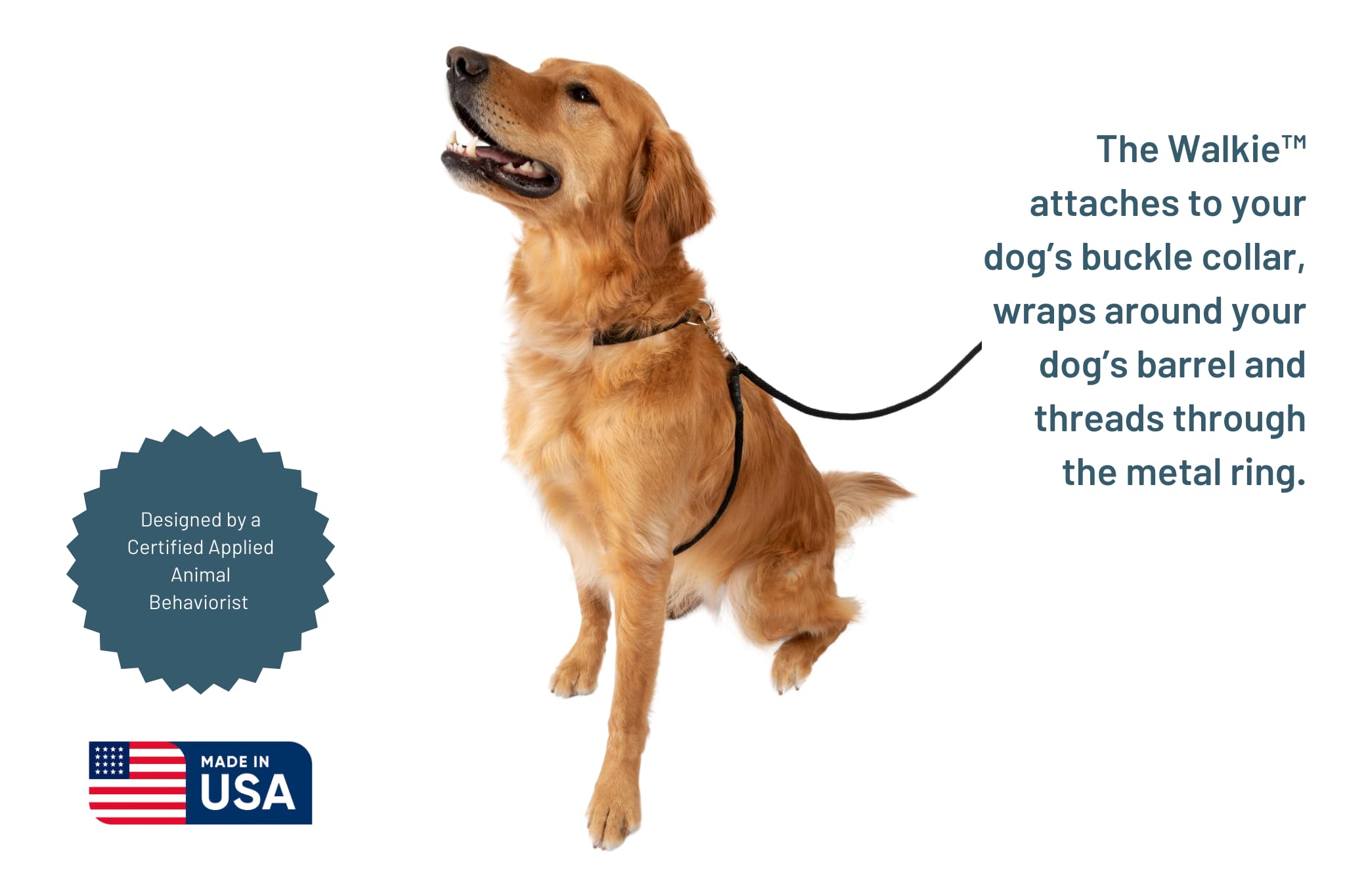 The Walkie No Pull Dog Leash - Gentle, Effective, Encourages Loose Leash Walking - Made In Usa - Black - Size Large For Dogs 25 Lbs – 150 Lbs