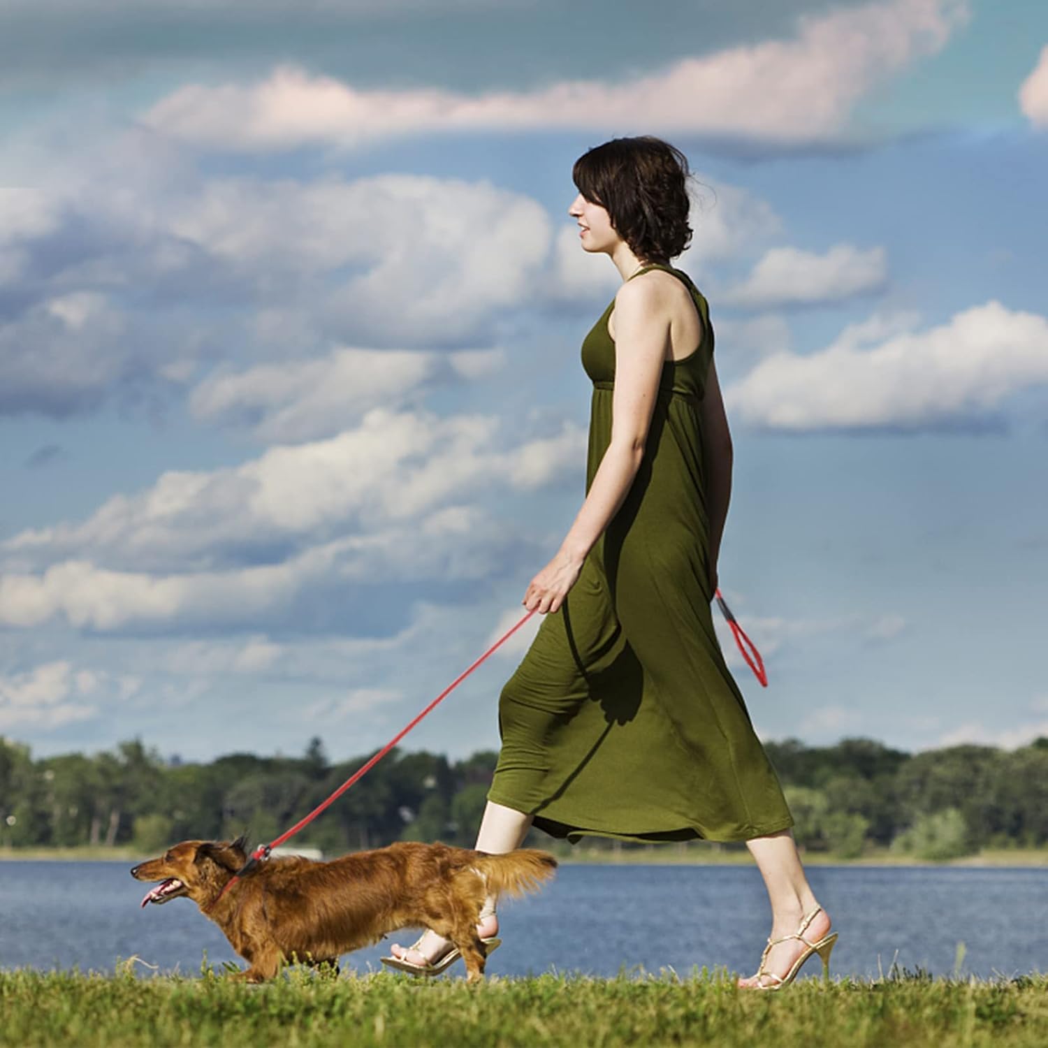 Fovrlzse 3-Pack Heavy-Duty Nylon Adjustable Slip Leads For Dogs - Red, Black, Blue - Adjustable, Durable & Night-Safe