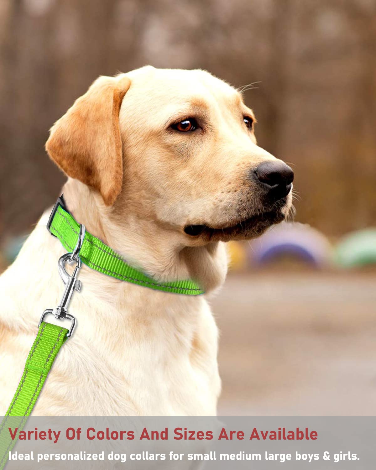 Reflective Dog Collar With Buckle Adjustable Safety Nylon Collars For Small Medium Large Dogs, Grass Green S