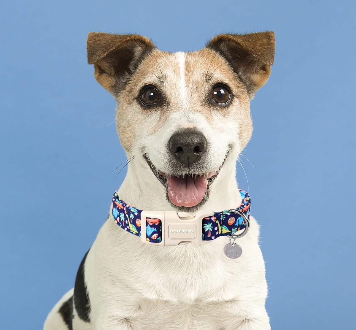 Dogwong Cotton Dog Collar, Blue Dinosaur Dog Collar Durable Soft Natural Fabric Pet Dog Collar Cute Summer Puppy Necklace For Sm
