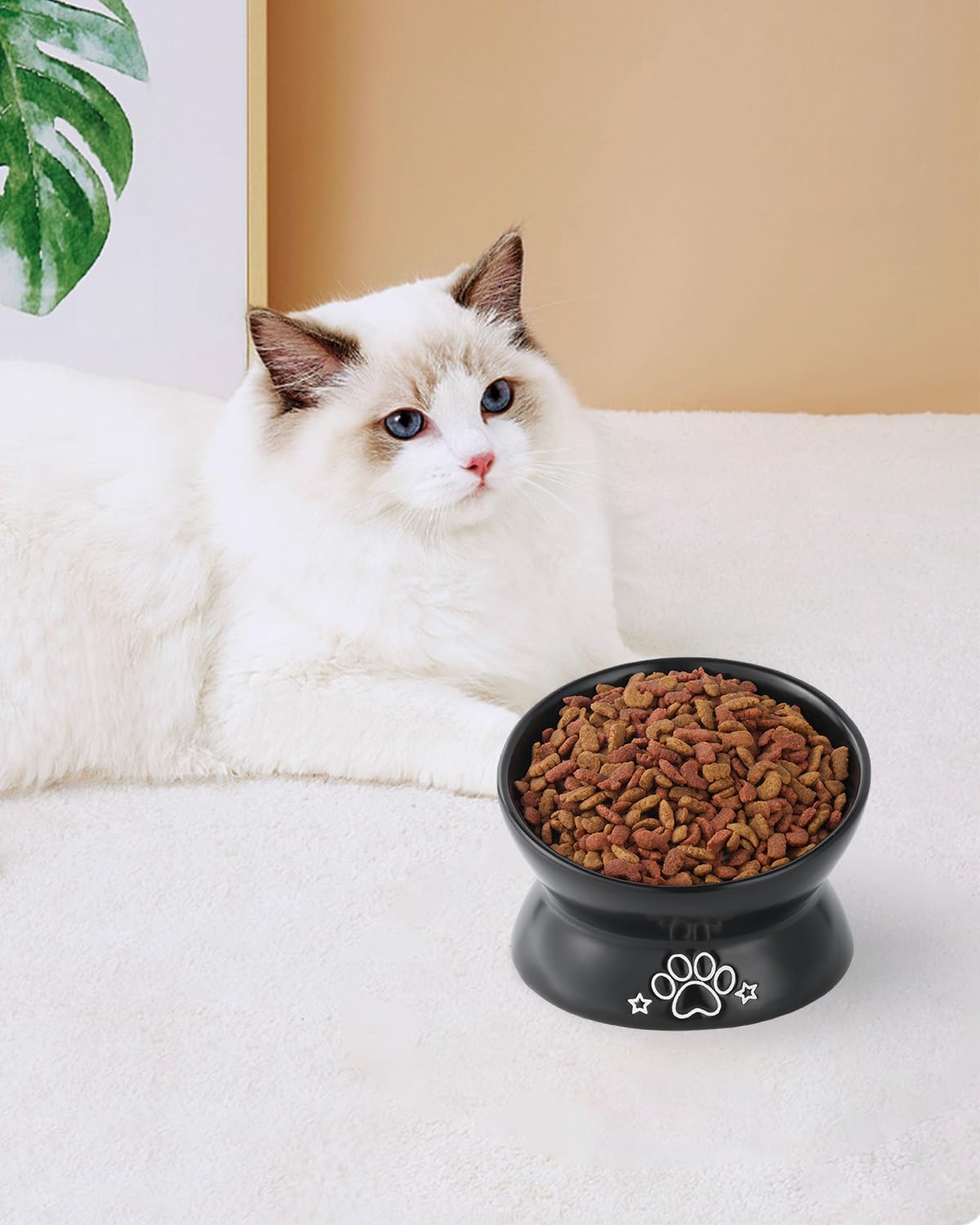 LoeJan Elevated Cat Food Bowl, 5 Oz Ceramic Raised and Tilted Water Bowl, Anti Vomiting and Protect Pets  Spines Dishes for Sma