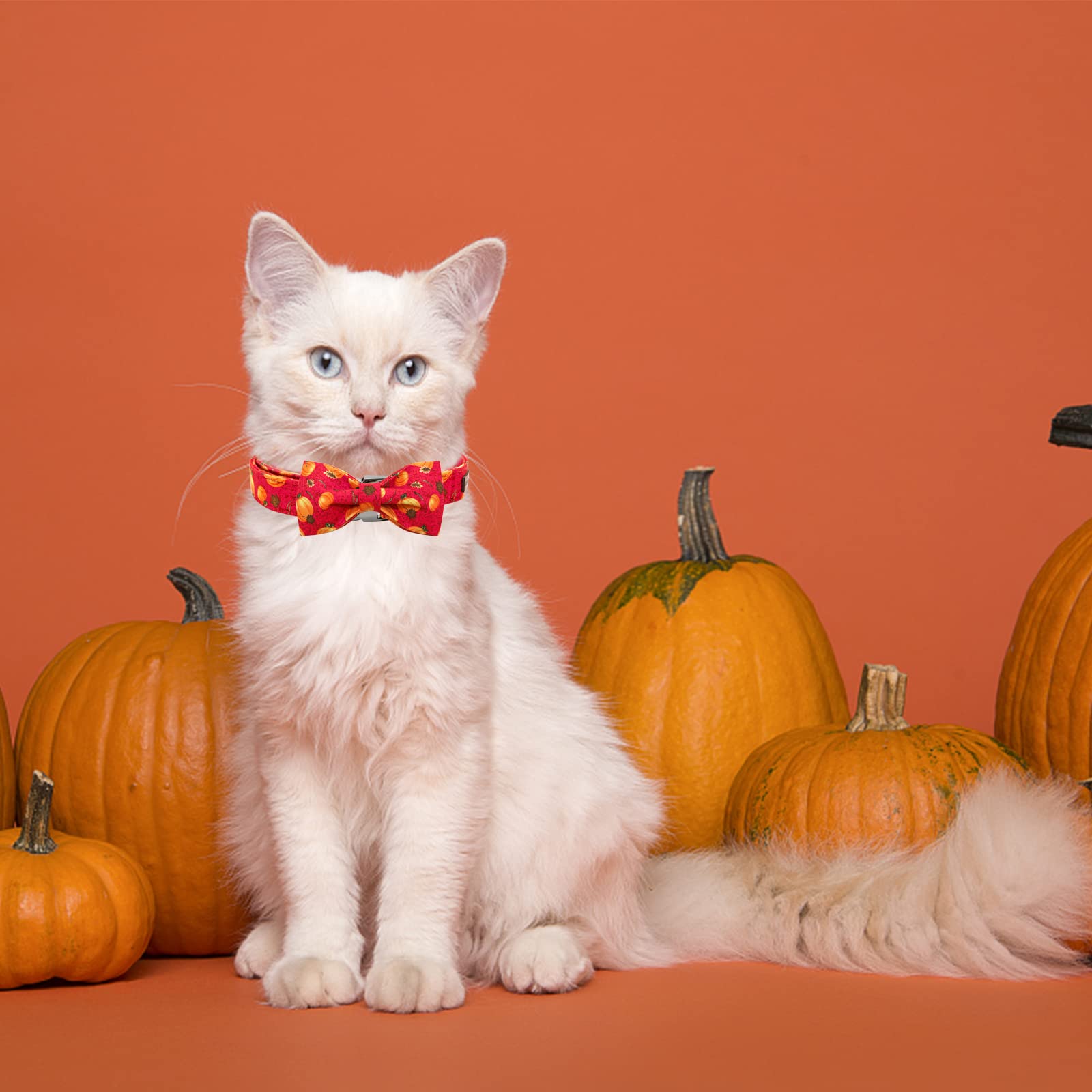 Elegant Little Tail Dog Collar With Bow - Fall Dog Collar Halloween Pumpkin Bow Girl Boy Pet Collar Soft Dog Bowtie Collars For X-Large Dogs