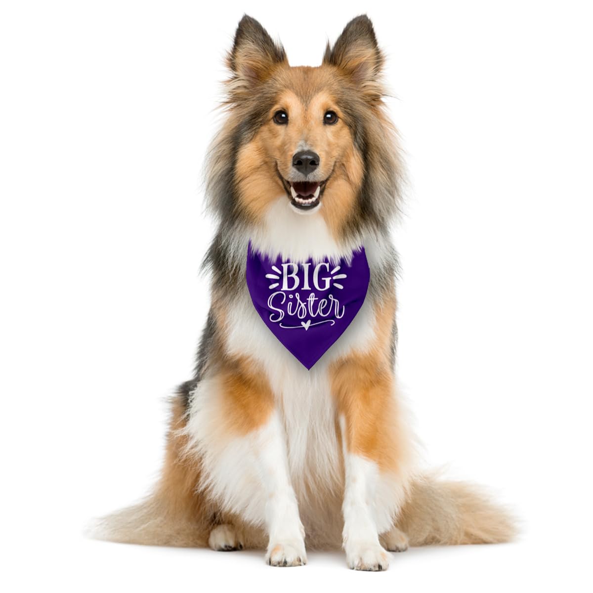 Big Sister Dog Bandana, Purple Dog Bandana, Pet Scarf Accessories, Pet Triangle Scarf, Dogs Bandanas For Small Medium Dogs (M)
