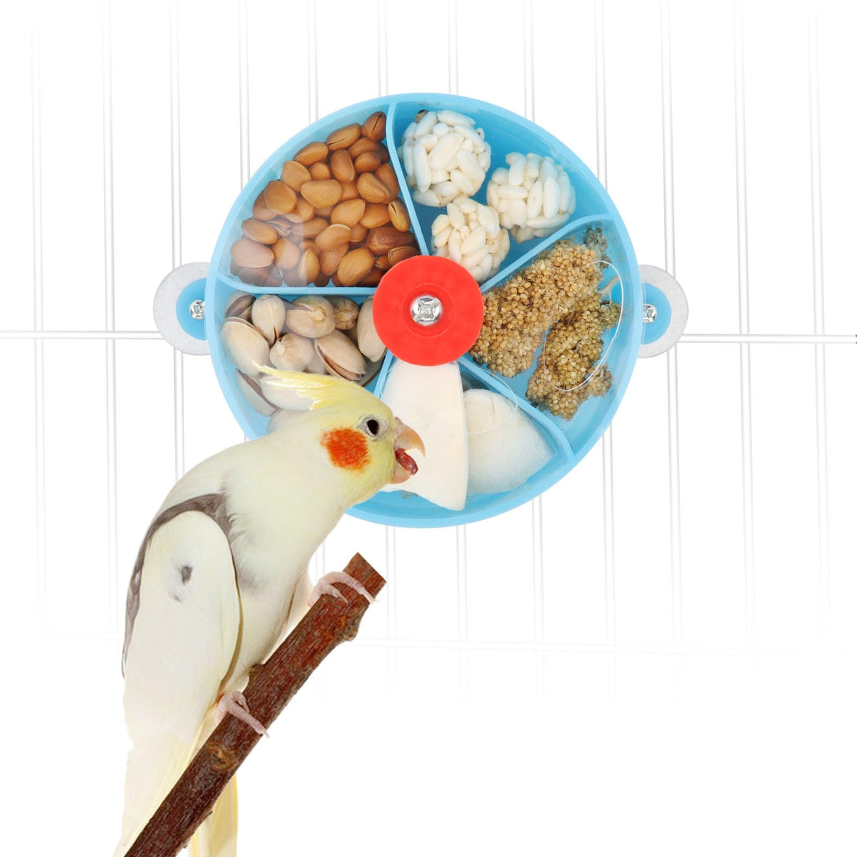 Bird Creative Foraging System Wheel Seed Food Ball Rotate Training Toy for Small and Medium Parrots Parakeet Cockatiel Conure (B