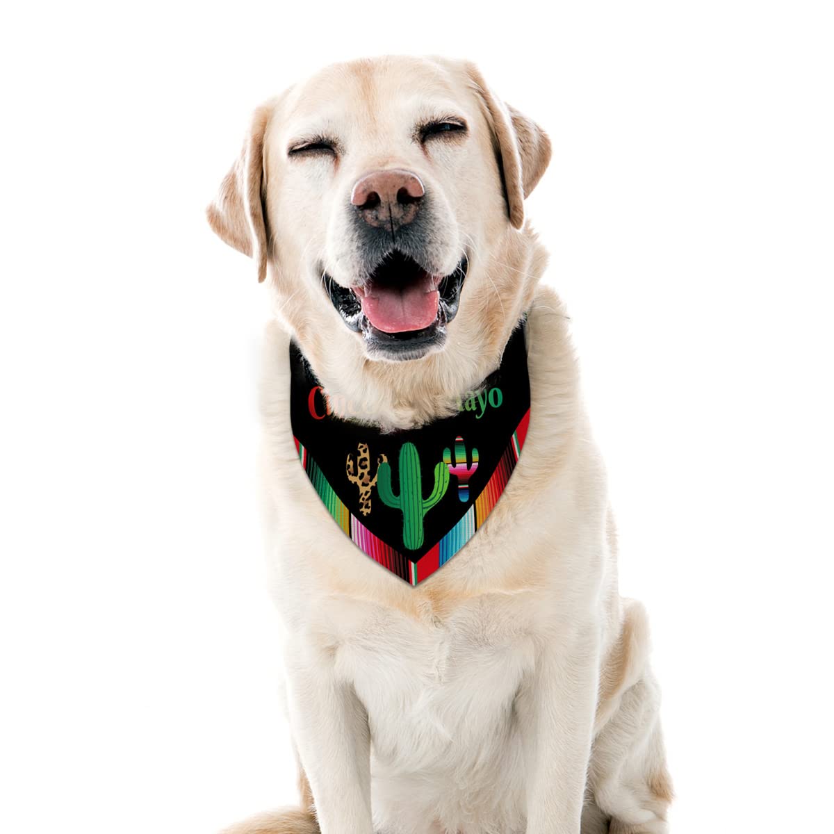 Cinco De Mayo Dog Bandana Cactus Mexican Fiesta Dog Scarf Adjustable Accessories For Small Medium Dogs Cats Pets