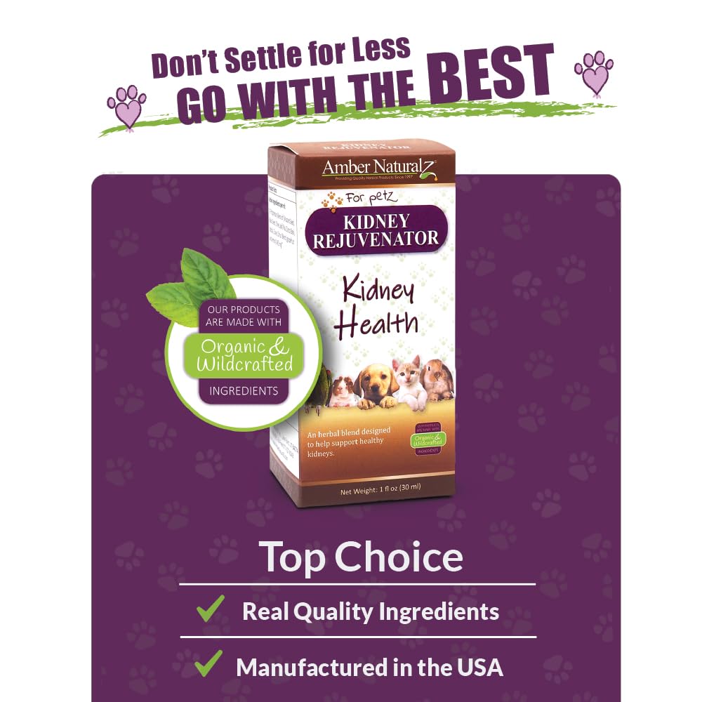 Amber NaturalZ Kidney Rejuvenator Herbal Supplement for Dogs, Cats, Birds, Guinea Pigs, and Rabbits | Pet Herbal Blend for Kidne