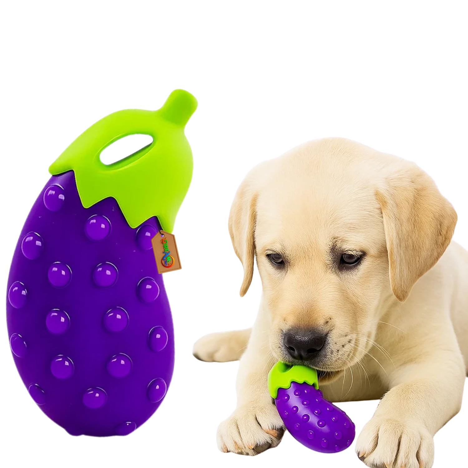 DreamAuro Brinjal Squeaky Toy for Dogs & Cats | Fun Chew, Fetch & Interactive Play Vegetable Shape Toy | NonToxic Rubber for De