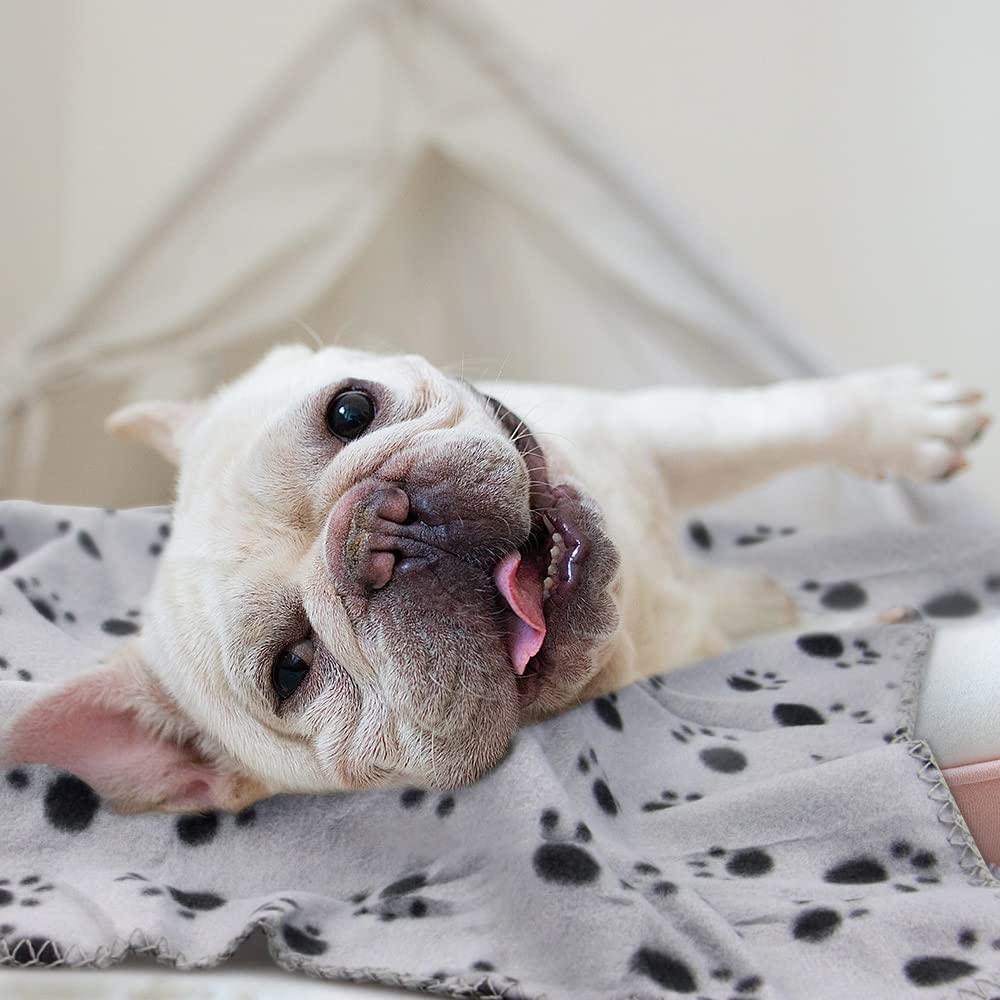 Eagmak Cute Dog Cat Fleece Blankets With Paw Prints For Kitten Puppy And Small Animals Pack Of 6 (Black, Brown, Blue, Grey, Red And White)