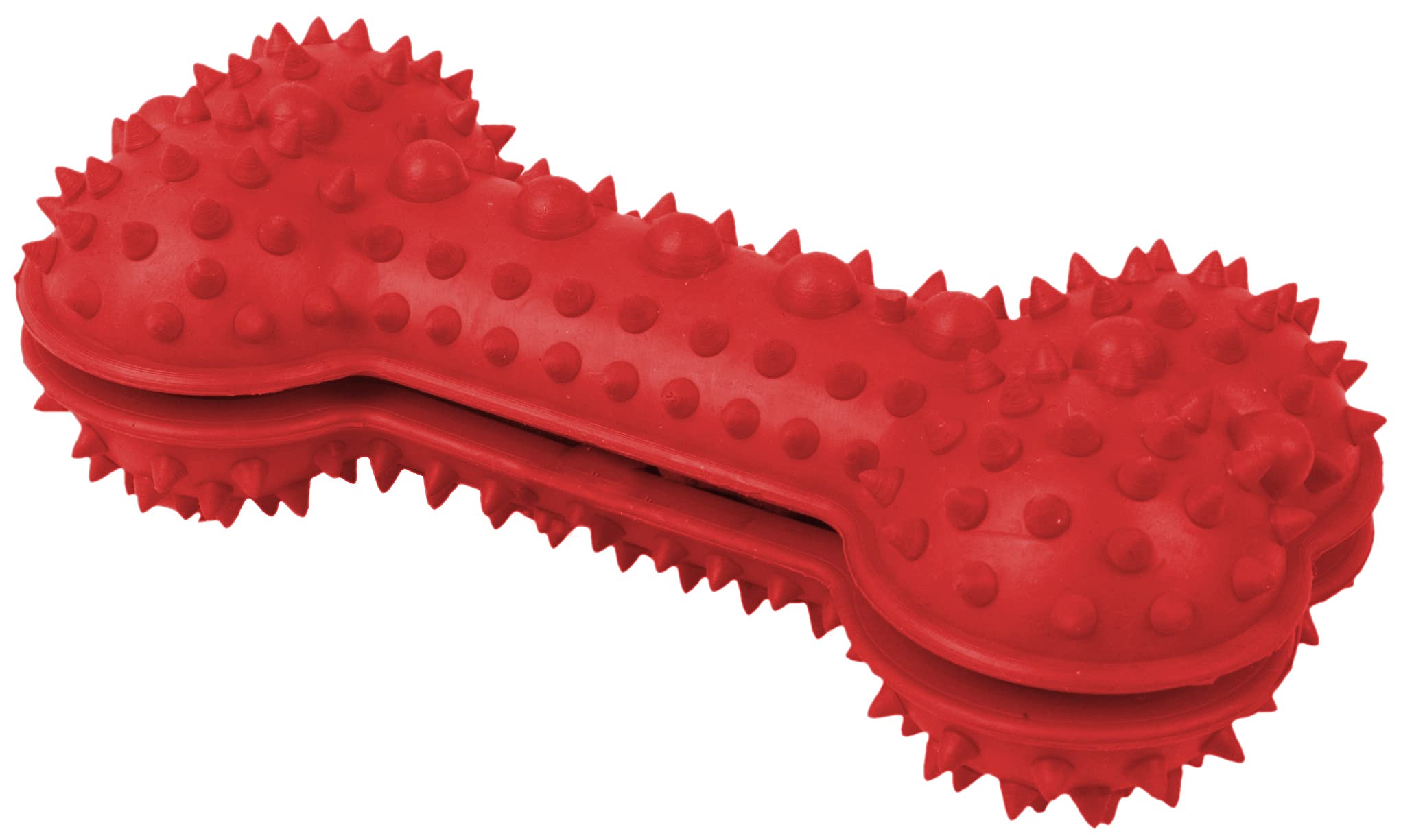Pet Life  'Denta-Bone' TPR Treat Dispensing and Dental Cleaning Durable Dog Toy