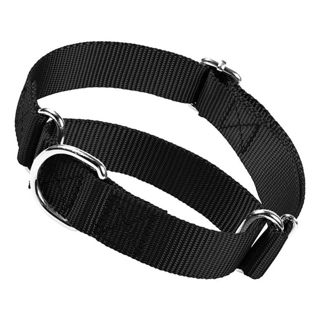 Martingale Collar For Dogs, Dog Choke Collar Escape Proof No Pull Cinch Dog Training Collars Adjustable For Small Medium Large B