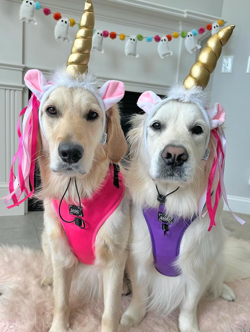 Midlee Dog Unicorn Horn Headband Halloween Costume