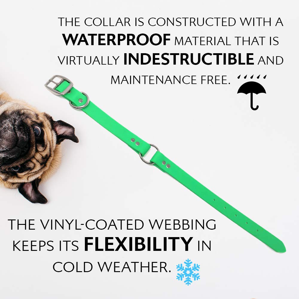 Regal Dog Products Large Light Green Waterproof Dog Collar And Leash Set - Vinyl Coated Biothane Pet Training Collar With Heavy Duty Center Ring & 5Ft Leash - Other Sizes For Puppy Small & Medium Dogs