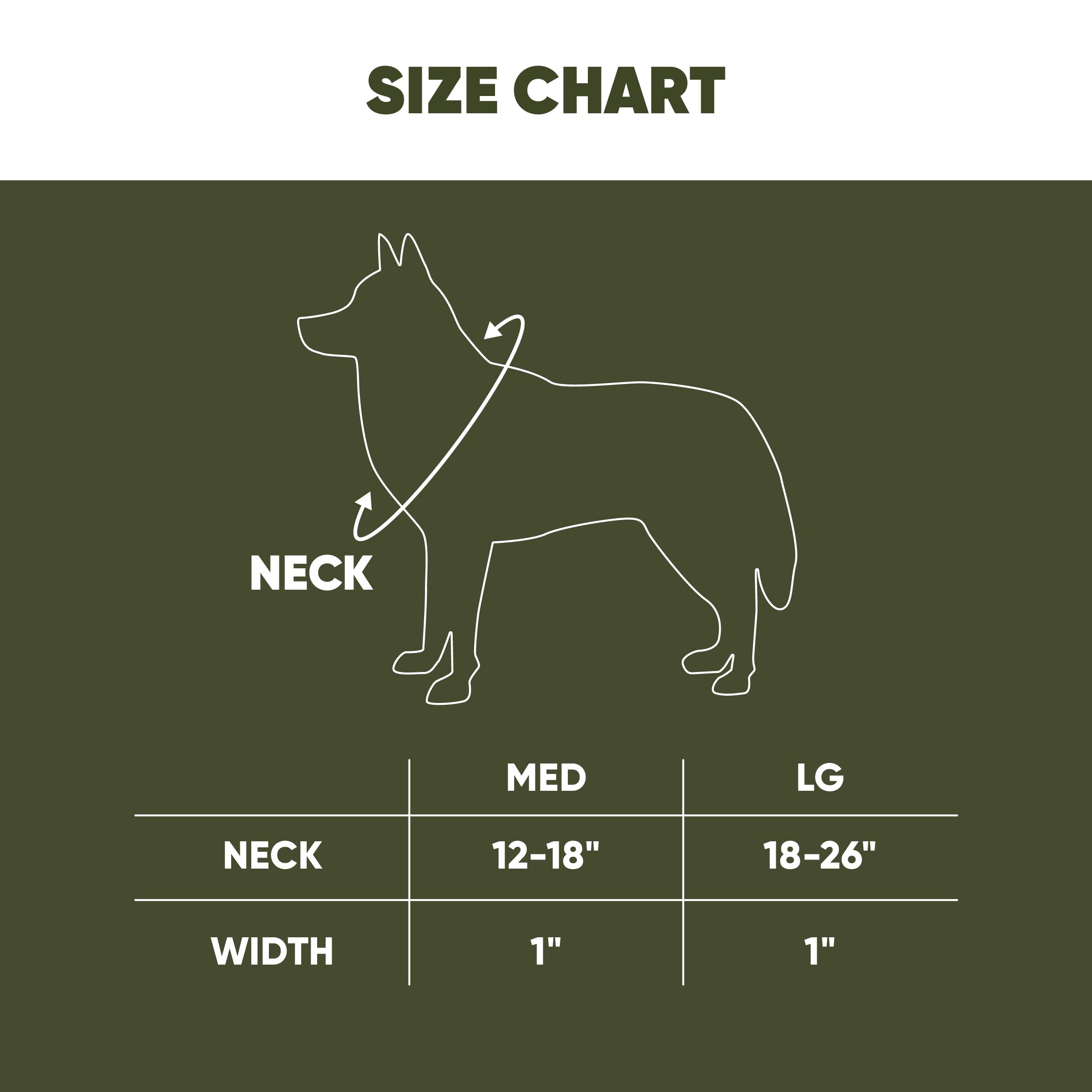 Hooey Nomad Dog Collar, Durable Polyester Webbing Collar With Graphic-Inspired Prints, Beluga Monterey, Large