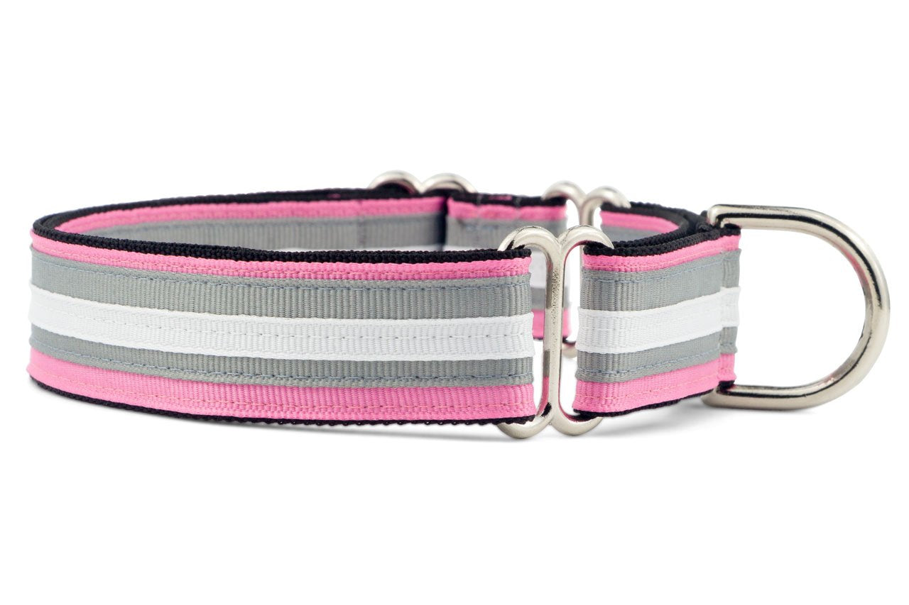 If It Barks 1 Martingale Collar For Dogs, Adjustable Nylon, Usa Made, Medium, Spunky