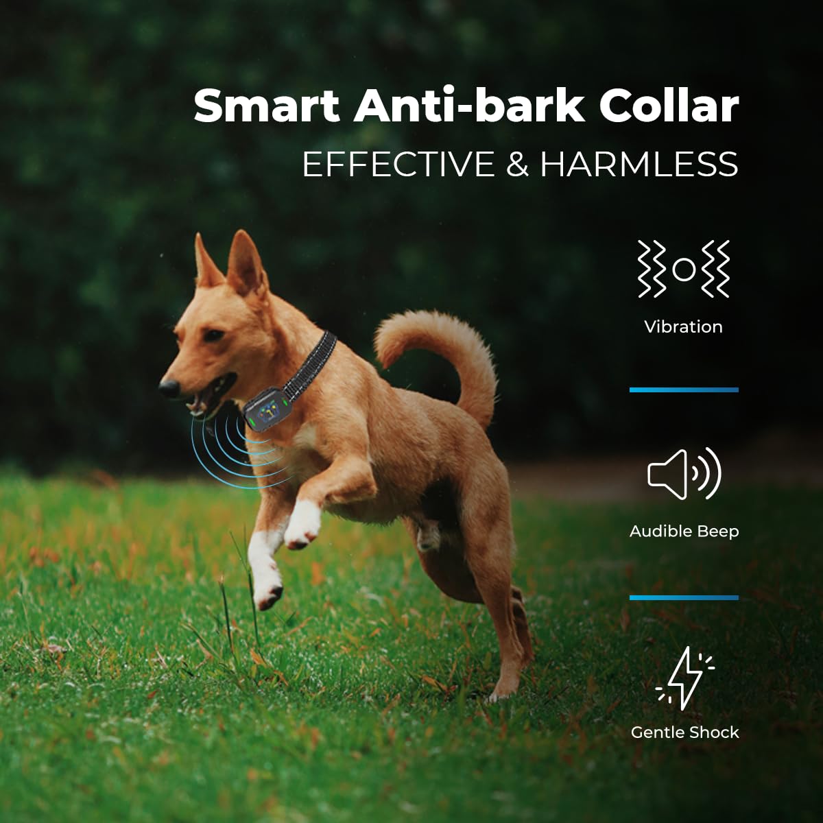 Autosky Pets Smart Anti-Barking Collar - Training Collar With 5 Adjustable Sensitivity Beep Vibration Shock, Bark Collar For Lar