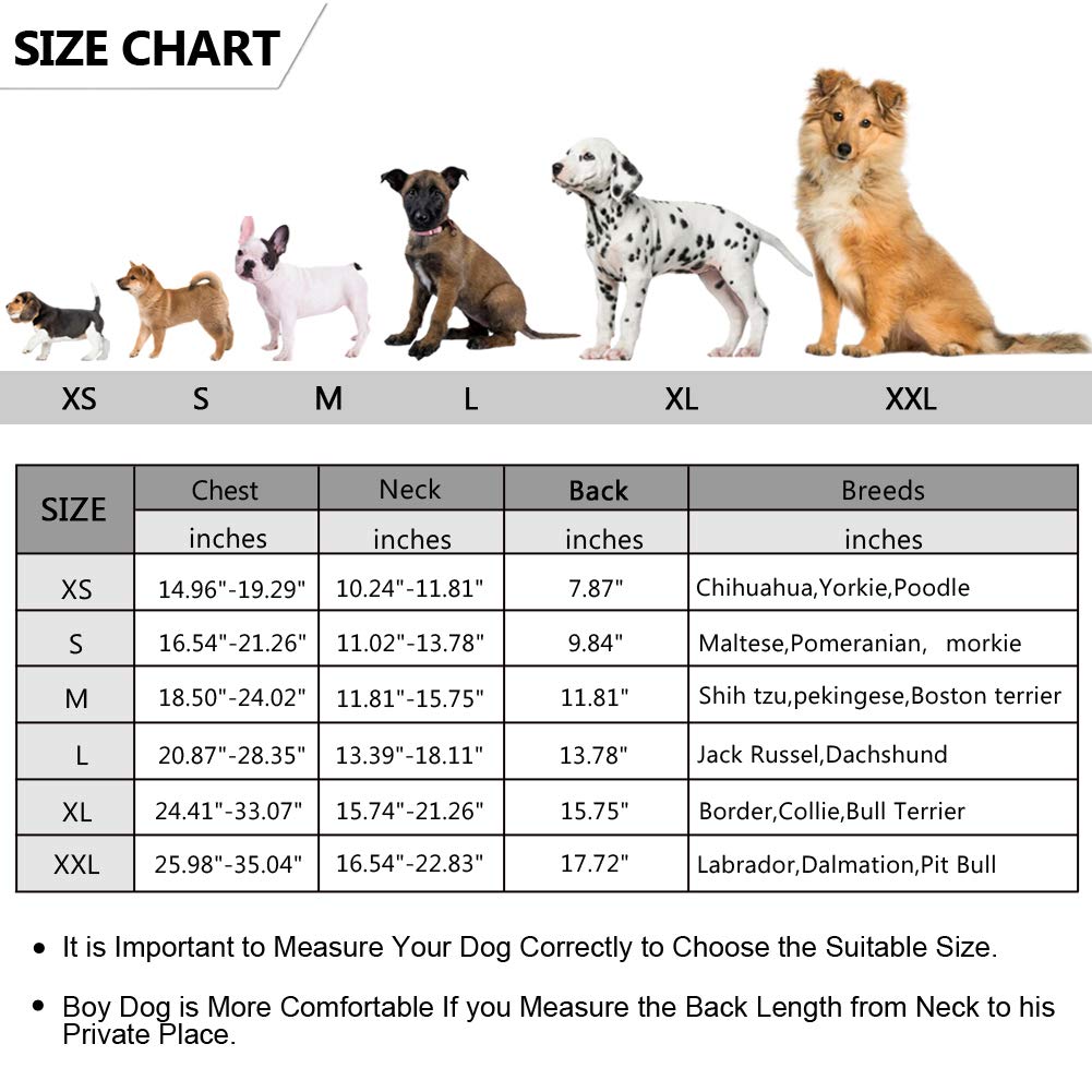 Ripstop Dog Life Jacket Shark Life Vest For Dogs, Safety Lifesaver With High Buoyancy And Lift Handle For Small And Medium Breeds(Blue L)