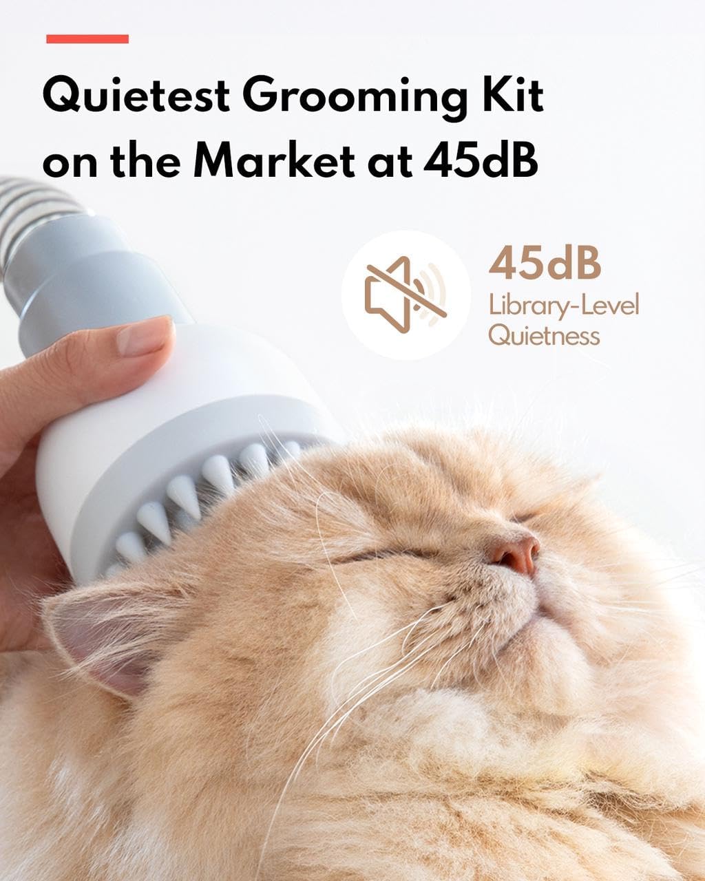 Homerunpet Ultra Quiet Dog Grooming Vacuum, Pet Vacuum, Suction 99% Pet Hair, 6 Tool Grooming Kit, Anti Shedding, 1.85L Dust Cup