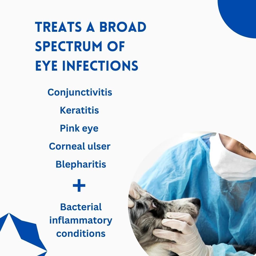 PassionBox Eye Health for Dogs, Cats, Cattle, Sheep, Horse, Bird 1/8 oz /3.5gr - 1 pcs Tube+Metal Box