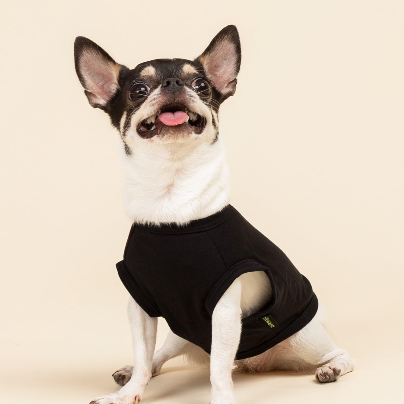 Fitwarm Happy St Patricks Day Dog Clothes, Summer Dog Clothes For Small Dogs Boy Girl, Funny Dog Tshirt, Lightweight Breathable