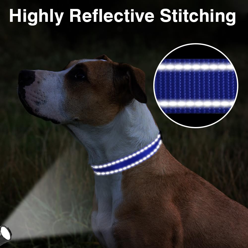 Taglory Reflective Adjustable Dog Collars For Puppy Small Medium Large Dogs, Thin Nylon Webbing And Quick Release Plastic Buckle(Royal Blue,Large)