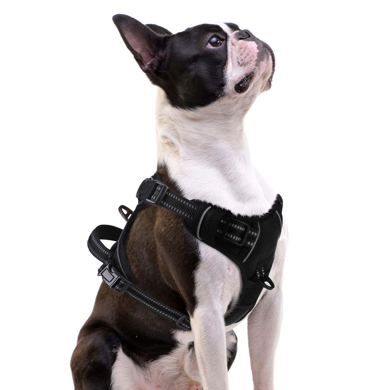Pupteck No Pull Dog Harness Small Sized, Adjustable Reflective Dog Harness With Handle Easy Control, Comfortable Soft Padded Pet