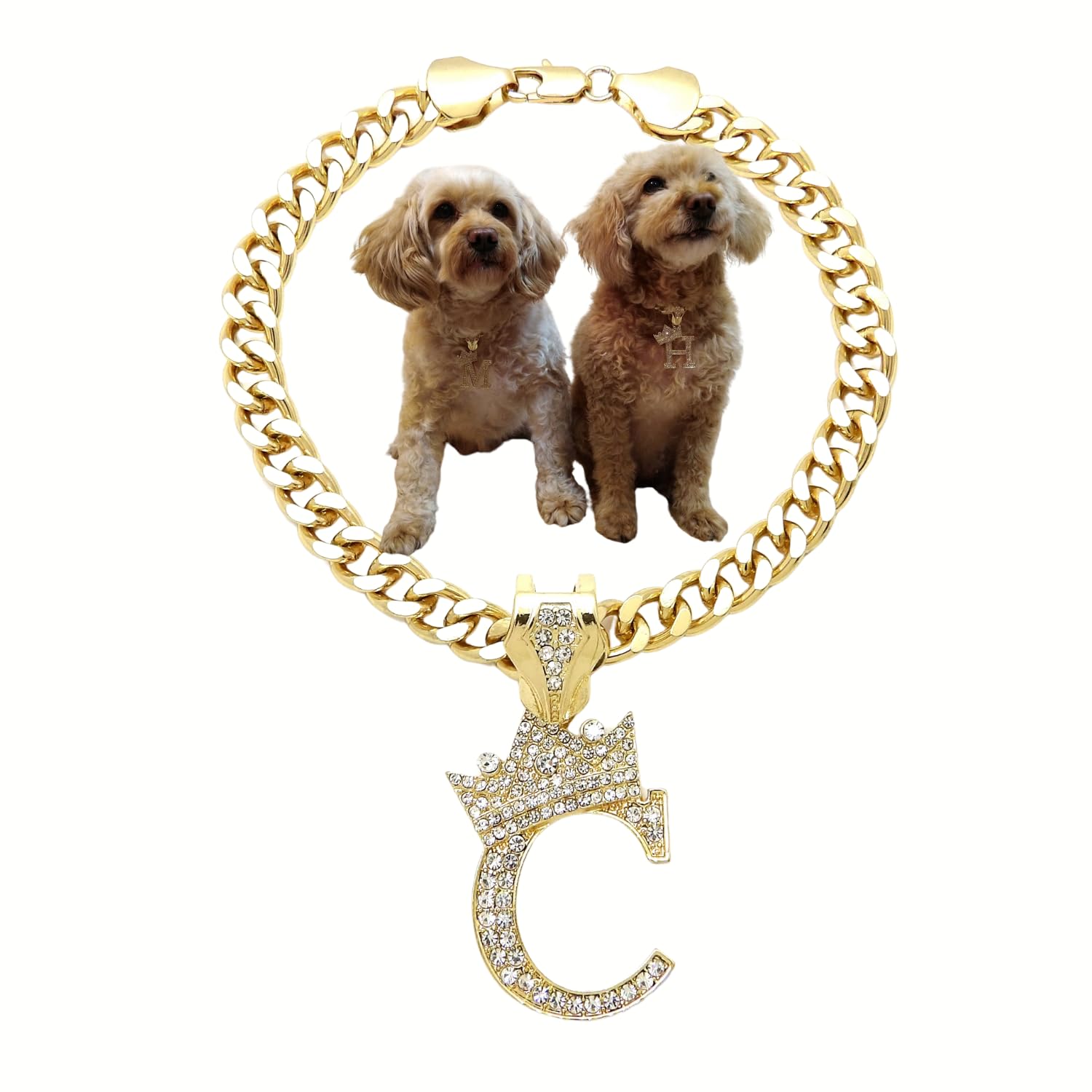 Initial Letter Cuban Chain Dog Chain Pet Chain Pet, Cat, Puppy Necklace (C, 10'')