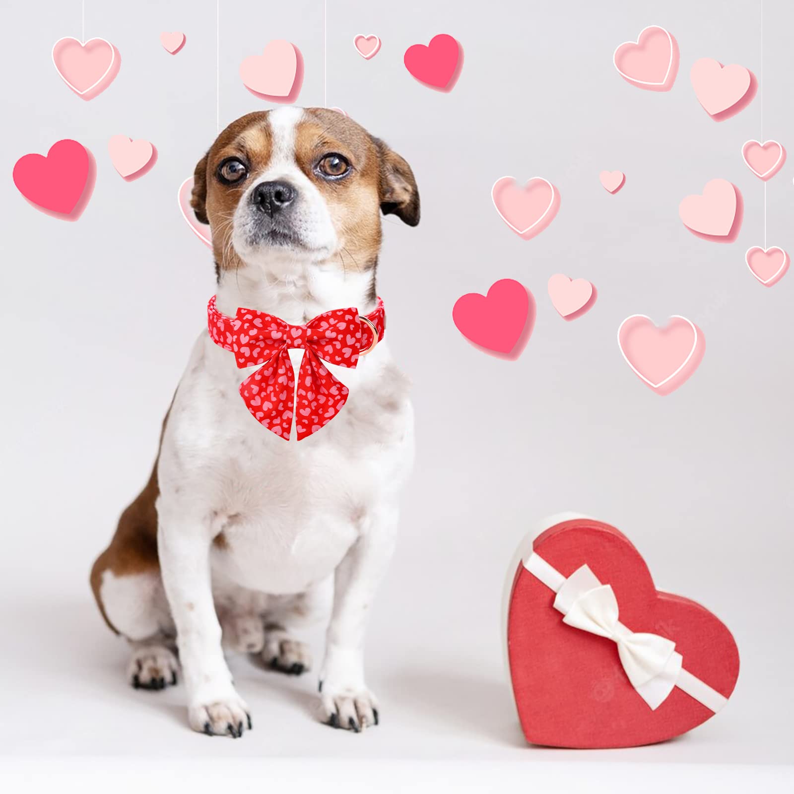 Babole Pet Valentine'S Day Dog Collar With Tie, Pink Red Love Male Dog Collar With Safety Metal Buckle Adjustable Puppy Collars