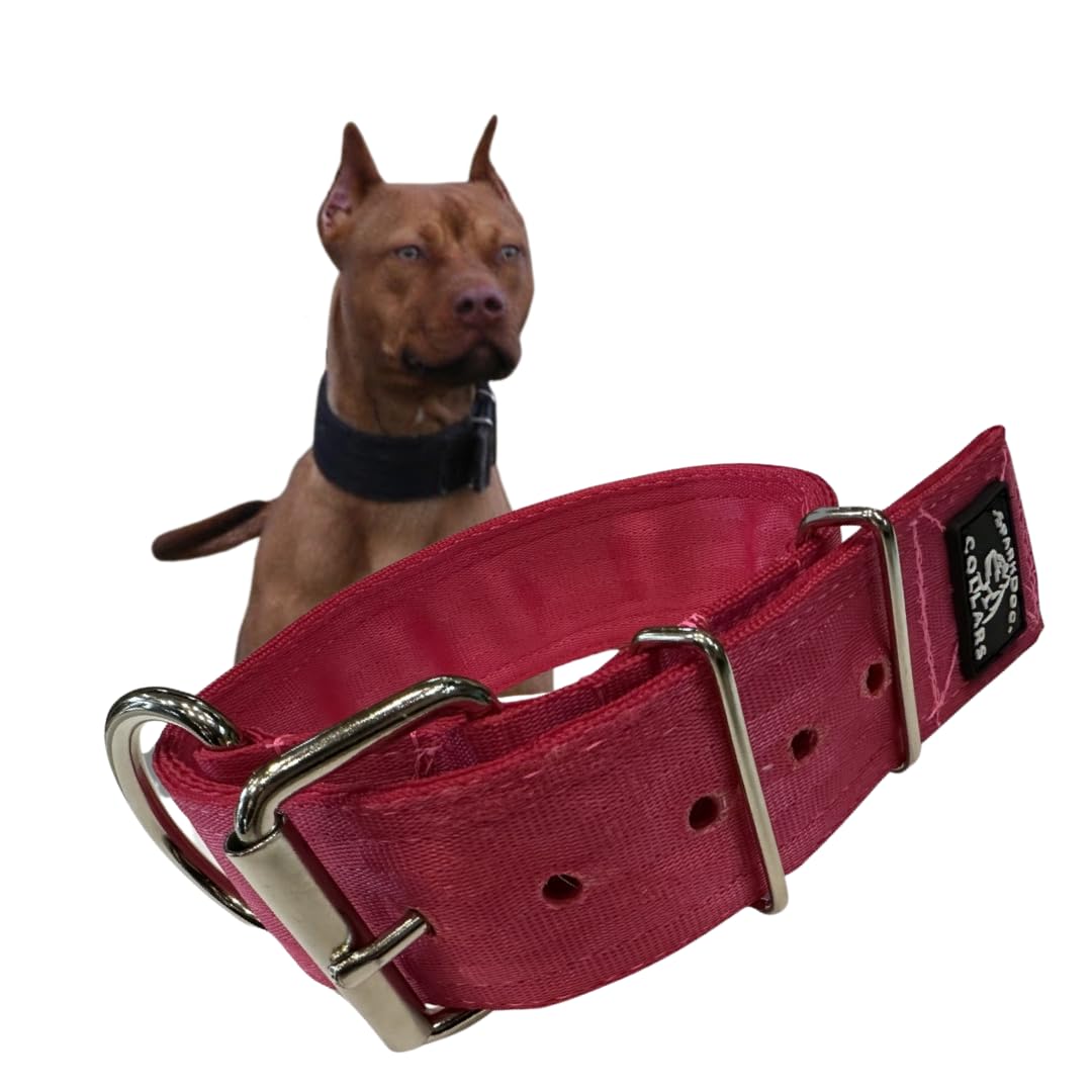Sparkdog Collars Working Dog Collar - 2' Wide Dog Collar, 4Ply Polyester Seatbelt Webbing, Heavy Duty Stainless Steel Welded Ha