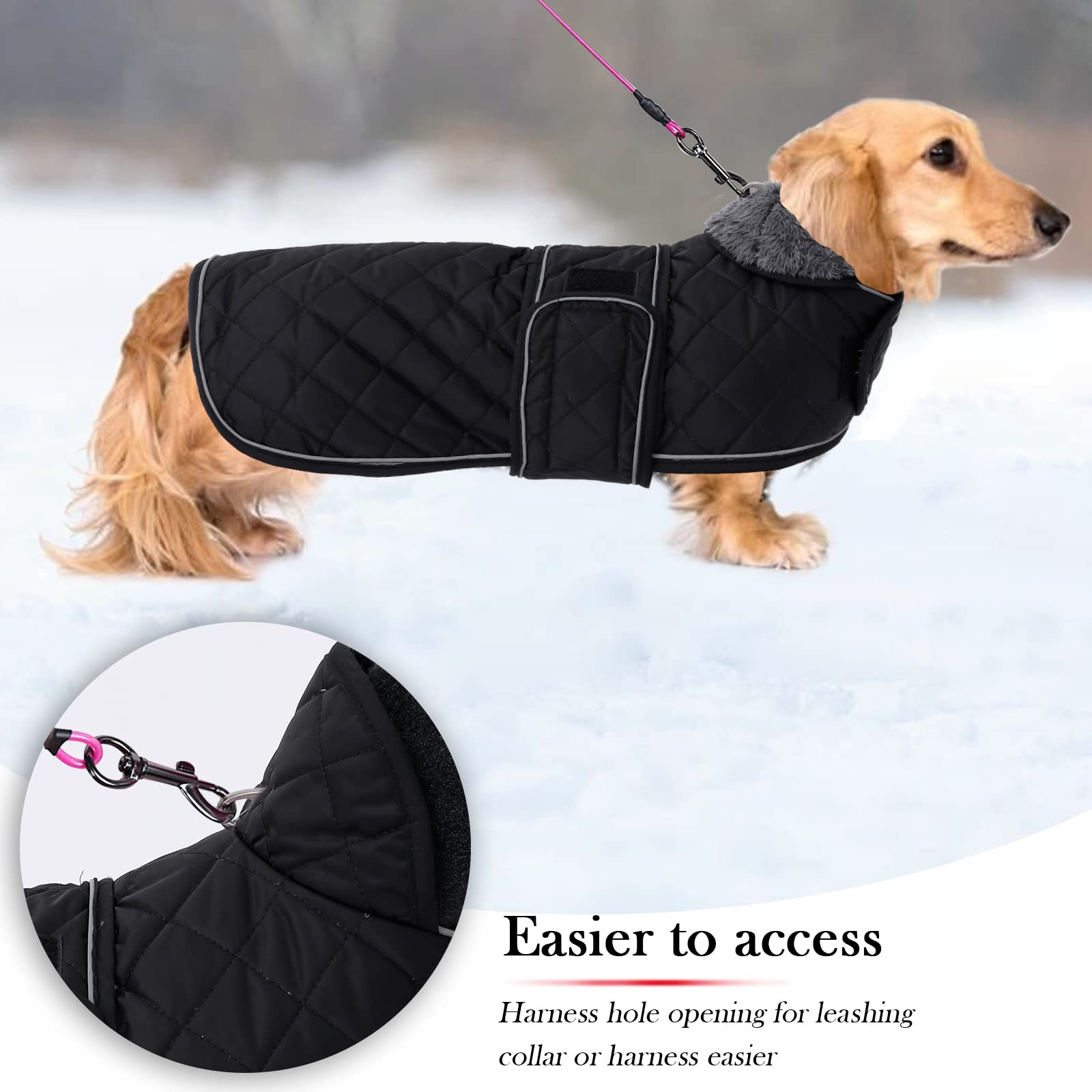 Warm Thermal Quilted Dachshund Coat, Dog Winter Coat With Warm Fleece Lining, Outdoor Dog Apparel With Adjustable Bands For Medium, Large Dog-Black-M