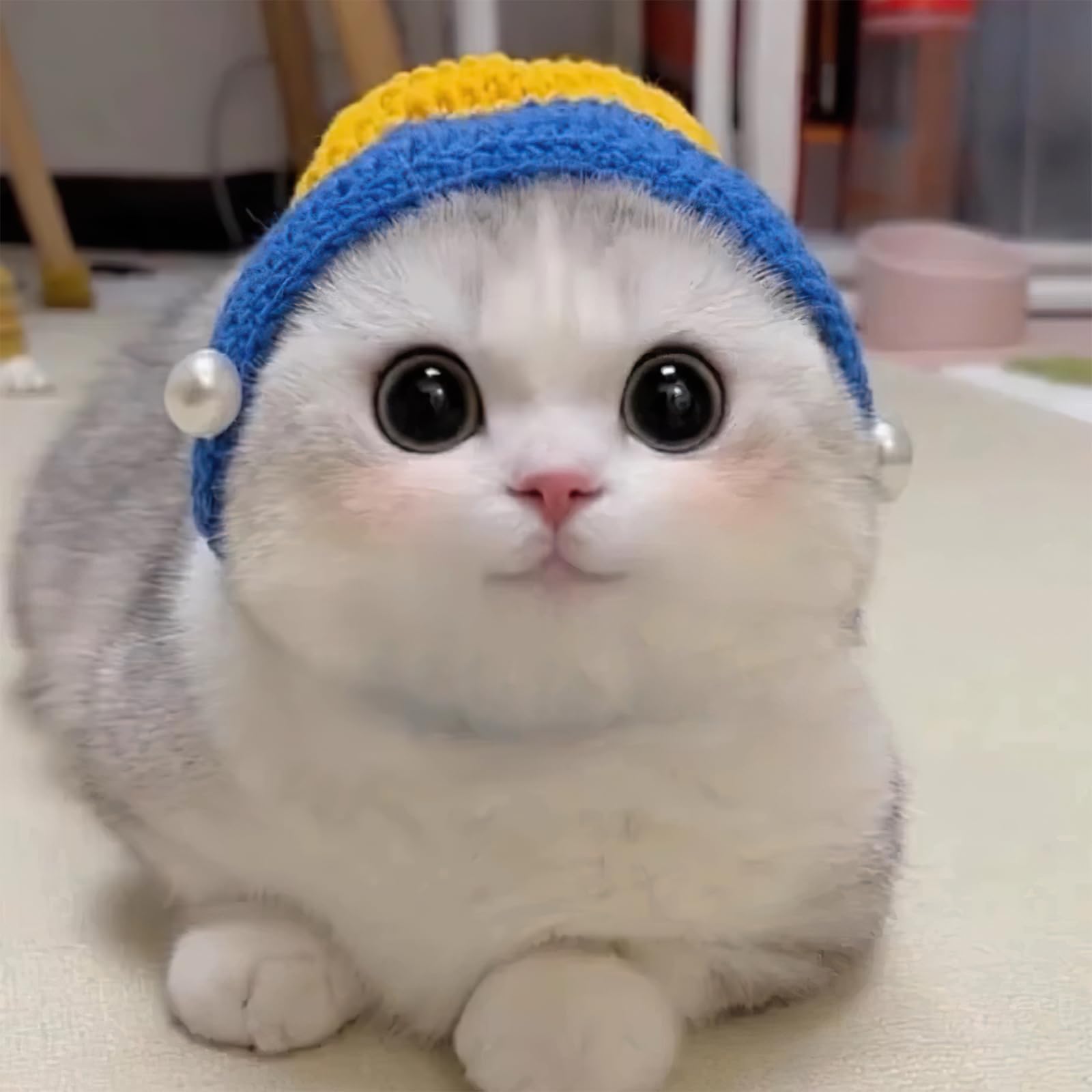 Howwfaly Cat Apparel Cat Hats Headgear Styling Cute Funny Pet Costume Accessories Decoration For Halloween, Christmas, Parties (